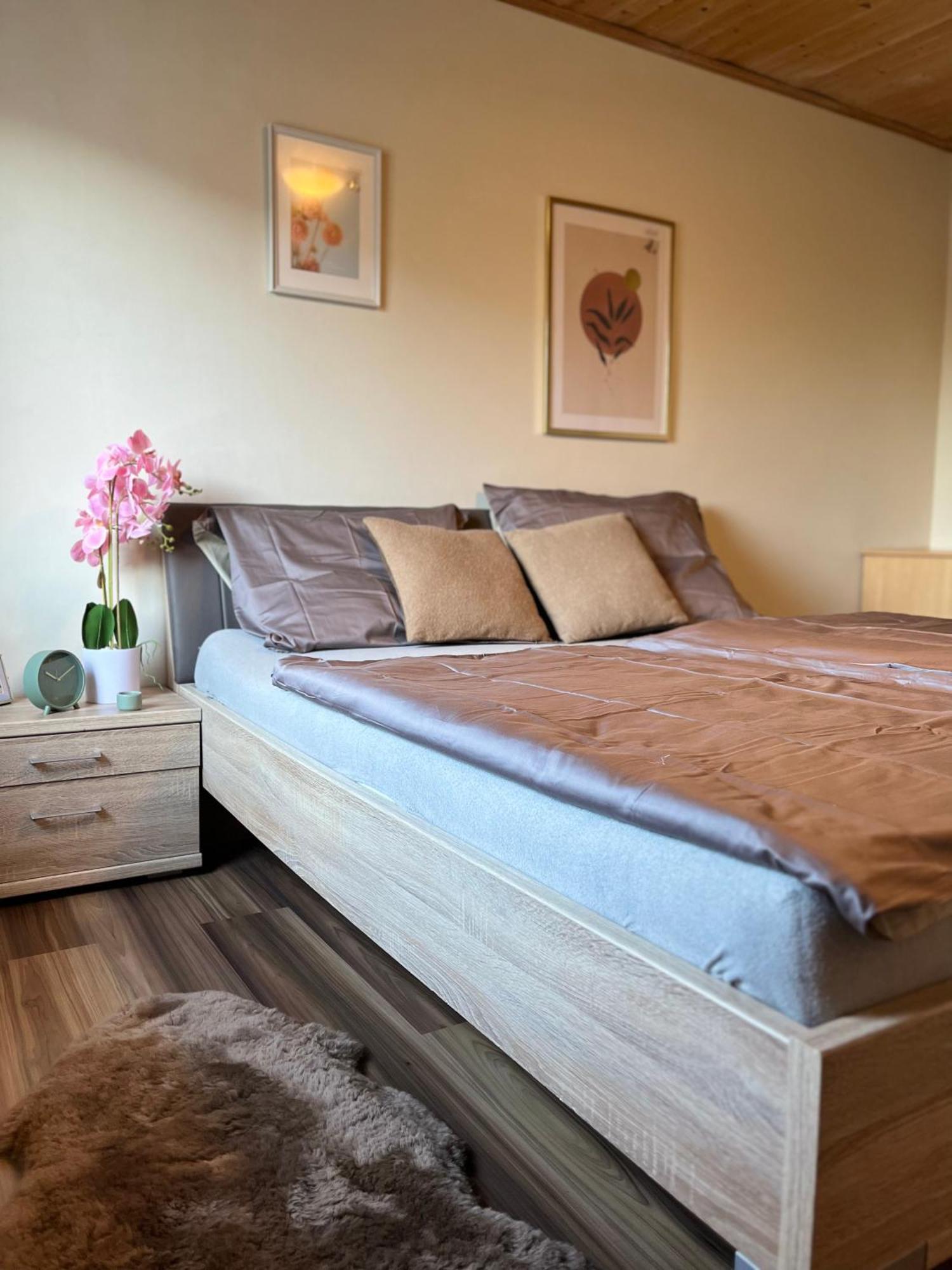 Gemuetliche Wohnung/ Cozy Apartment Niklasdorf Εξωτερικό φωτογραφία