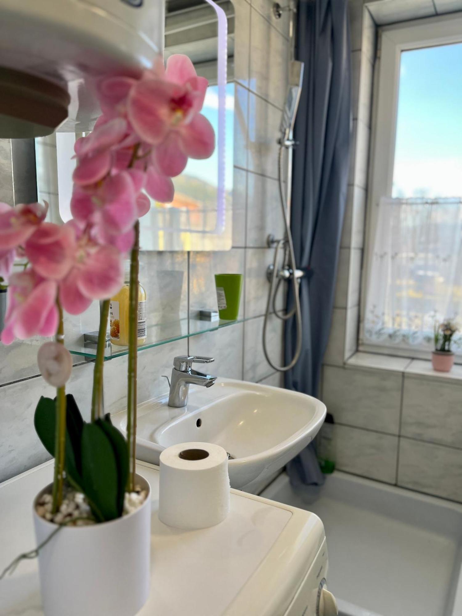 Gemuetliche Wohnung/ Cozy Apartment Niklasdorf Εξωτερικό φωτογραφία
